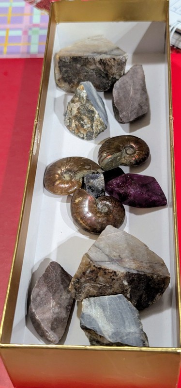 Lot Of Natural Gems, Old Treasures: Ruby, Ammolite, Chert, Garnet, Sapphire