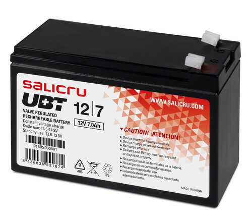Salicru 013BS000001 Batteria UPS 12V 7Ah | Alta Qualità Garantita