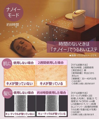 Panasonic Steamer Nano Care 2WAY Type Pink Tone EH-SA67-P | eBay