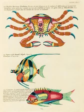Illustrations of fishes and crab found in the Indian and Pacific Oceans 1