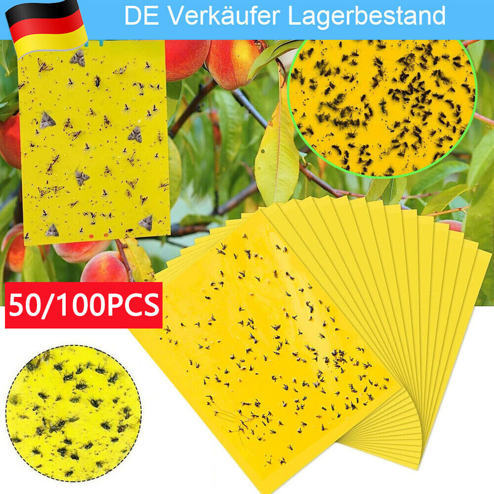 Bild 1 von 10