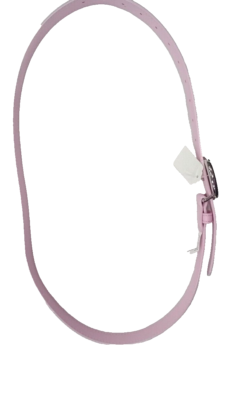 Telfar Logo Belt - Silver/Bubblegum Pink | eBay display picture 2