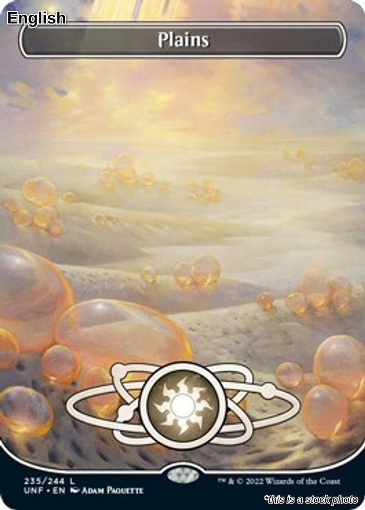 Plains (Borderless) 235 Unfinity NM
