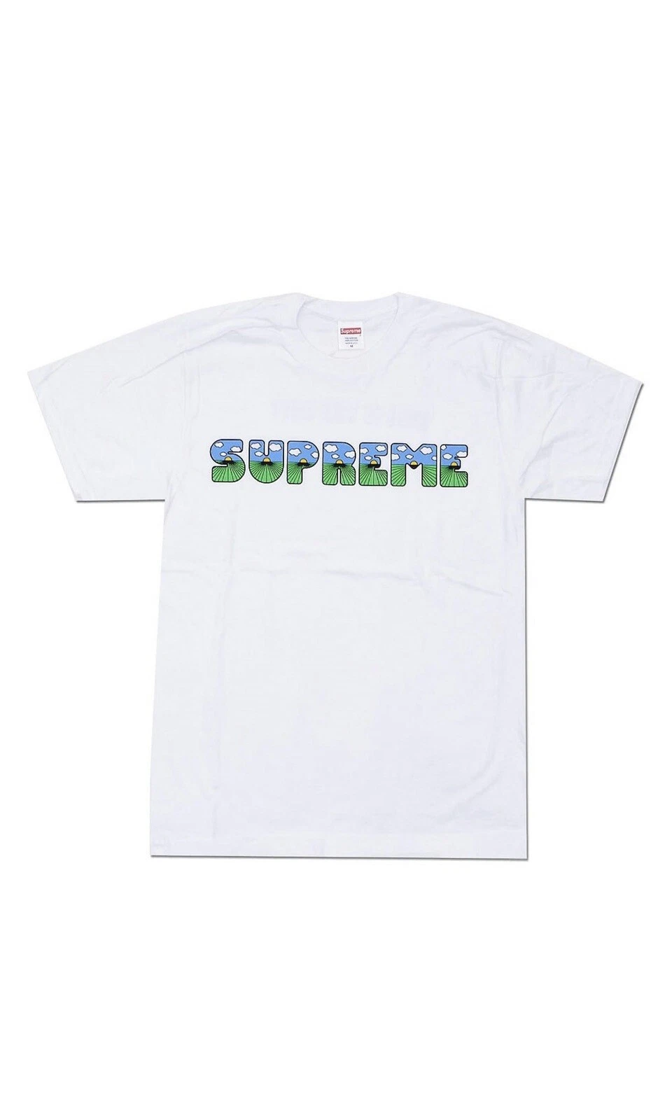 NEUF AVEC ÉTIQUETTES SUPREME THE S**T TEE SS16 BLANC TAILLE LARGE RARE 0888977143476 toujours dans son sac !