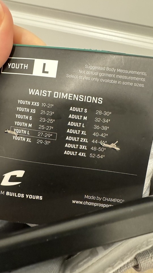 Champro Baseball Pant Youth Size Large BP91U Youth Gray/ Navy Stripe eBay