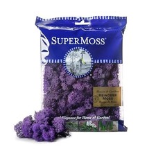 Reindeer Moss, Purple, Preserved, Approx 2oz, 11 x 7.6 x 1 Inches Bag