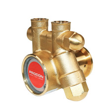 PROCON 141A100F11AA - 3/8" NPT Low Lead Brass Rotary Vane Pump Series 1