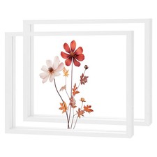 2-Pack Wooden Pressed Flower Frame, 8x10" Floating Frame White 