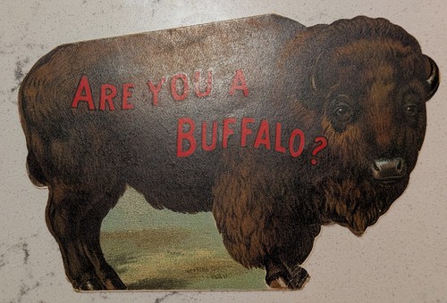 1901 Libby's ARE YOU A Buffalo Die Cut Fold Out Trade Card Pan American Expo