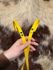 Handmade biothane slip leash