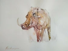 Boar, Animal, Watercolor artwork, Handmade, Original painting on paper,signed