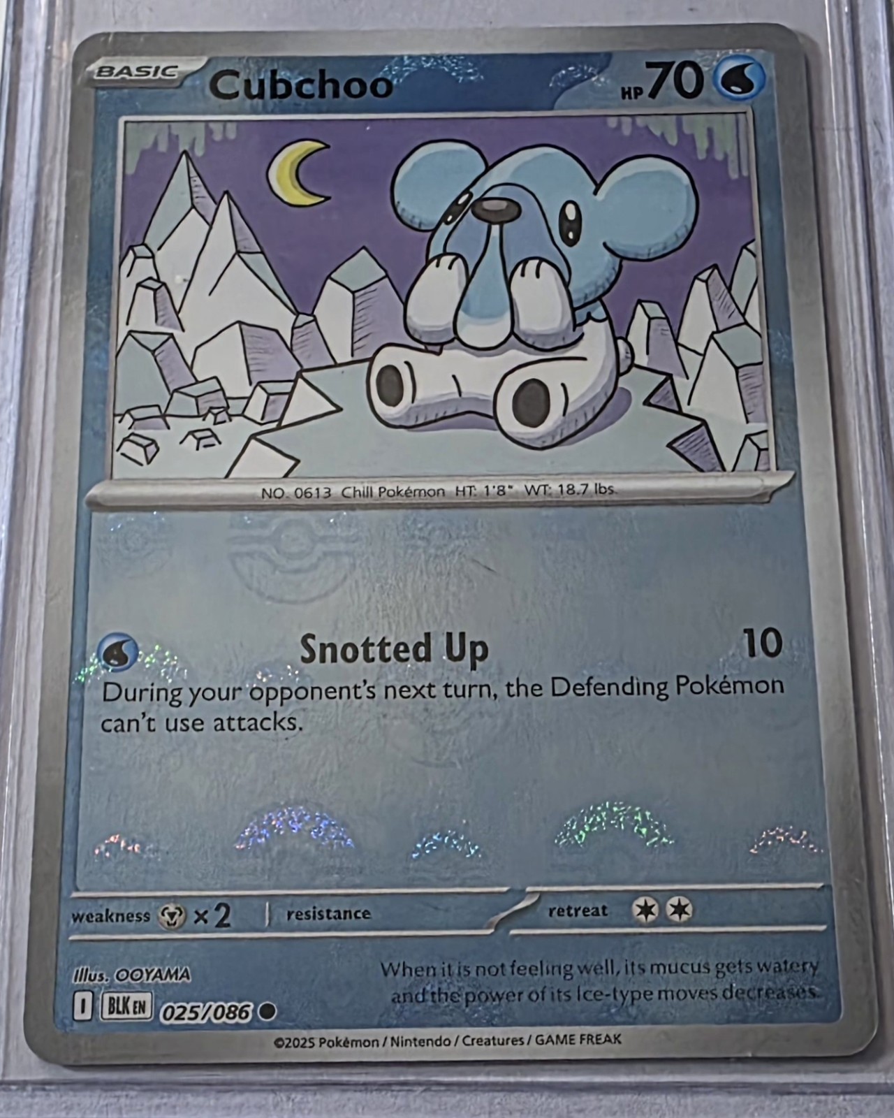 Cubchoo (POKE BALL Pattern) 25/086 | NM HOLOFOIL | SV: Black Bolt Pokemon TCG