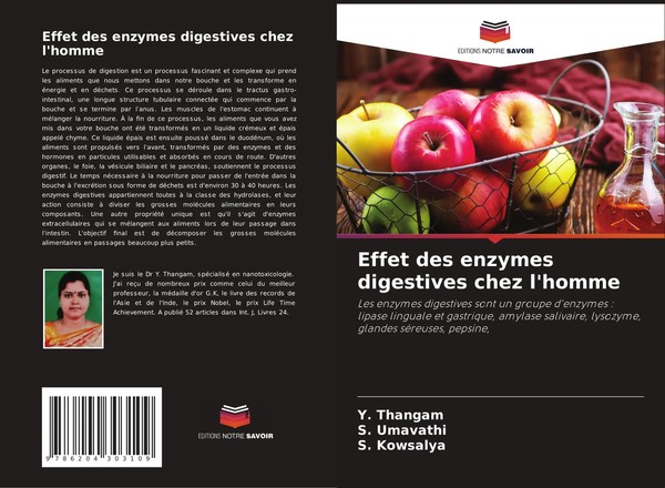Y. Thangam (U. A.) | Effet Des Enzymes Digestives Chez L'homme | Taschenbuch-image