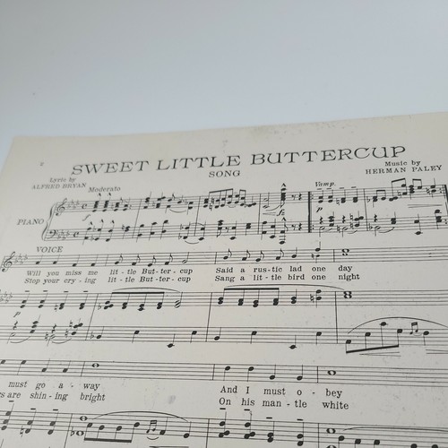 Sweet Little Buttercup Sheet Music 1907 Jerome H. Remick - Picture 3 of 4