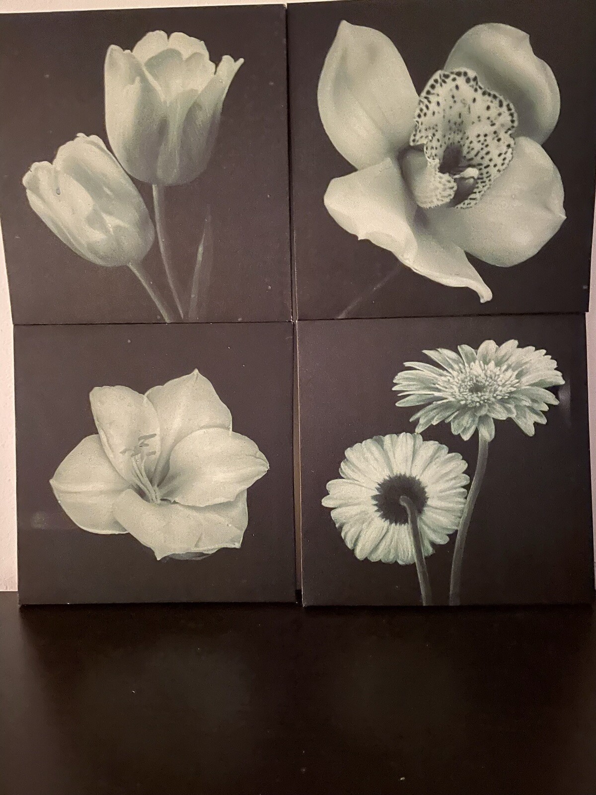 Flowers Green On Black Canvas Picture Photo Wall Art Home Decor 4PC