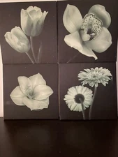 Flowers Green On Black Canvas Picture Photo Wall Art Home Decor 4PC