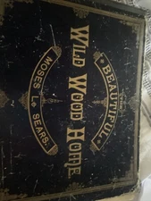 Beautiful Wild Wood Home Instrumental And Vocal Music For Piano & Organ 1879