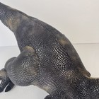 Picture 9 of 11