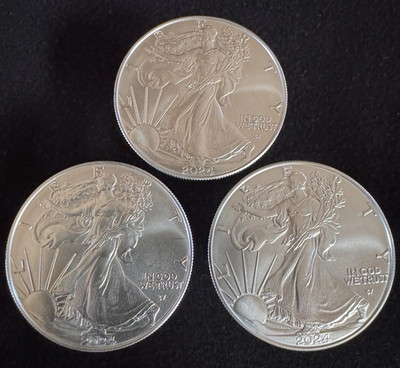 (3) 2024 American Eag le (BU) .999 Fine, Fast Ship  
