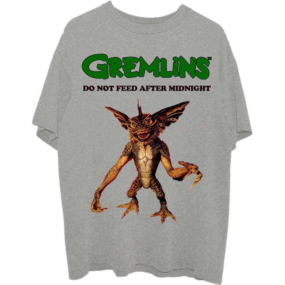 Warner Bros Unisex Medium Short Sleeve T-Shirt P500z