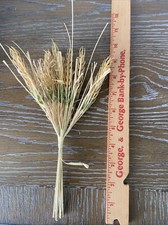 20 Bundles Dried Wheat 9.5" Faux Foliage (8 picks each bundle) Fall