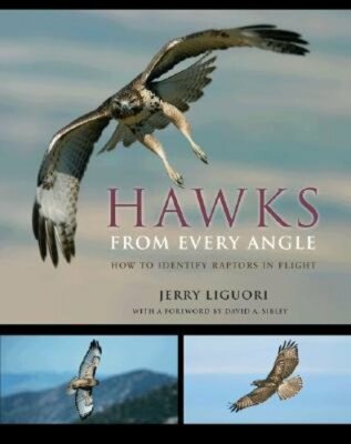 Hawks from Every Angle: How to Identify Raptors in Flight by Jerry Liguori: New