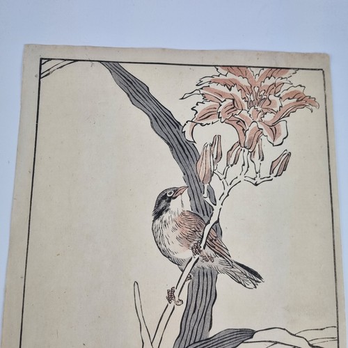 Bairei Kono Vintage Japanese Woodblock Print Bird On A Flowering Branch - Picture 15 of 19