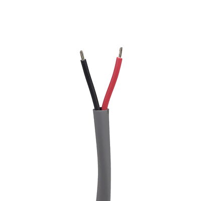 20 AWG 2 Conductor CMG Communication Cable, 300V, Unshielded, 100 ft Length