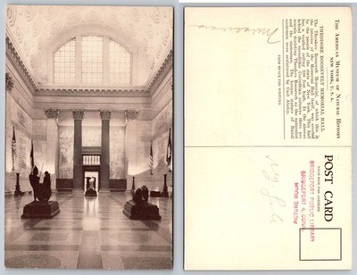 AMNH Theodore Roosevelt Memorial Hall NYC Postcard Carl Akeley Statues