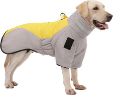 Cappotto Impermeabile per Cani Medi E Grandi, Giacca Invernale Calda Con Strisce