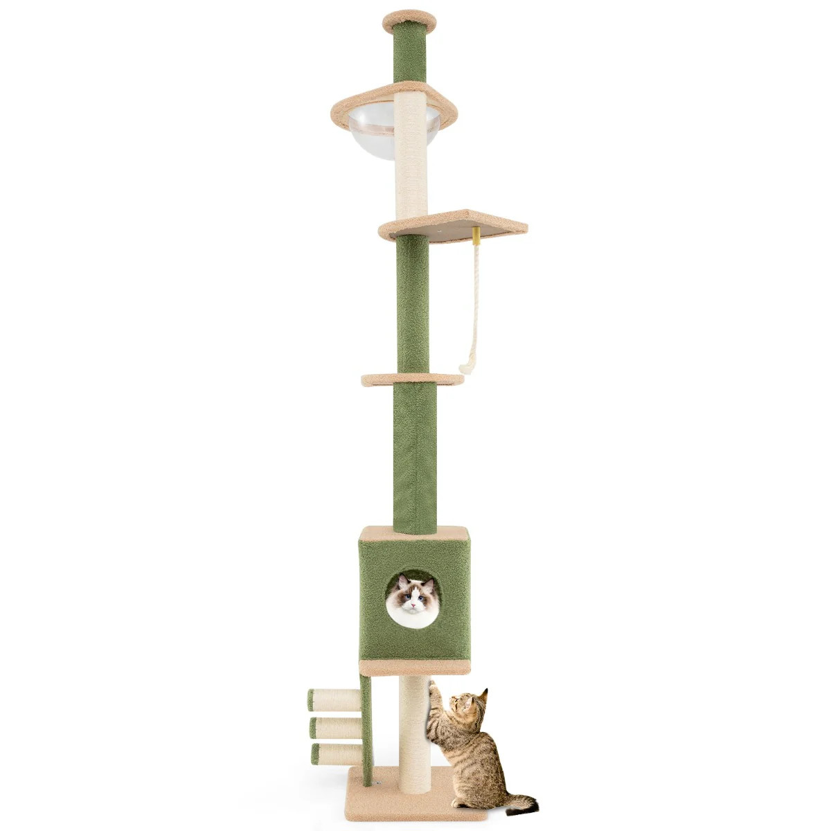 Arbre à chat stable sans percer pour plafond | Protection meubles et canapés