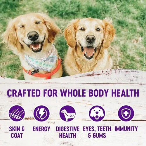 4-Pound Bag, Wellness Complete Health Natural Grain Free Dry Dog Food, Chicken - Picture 2 of 8