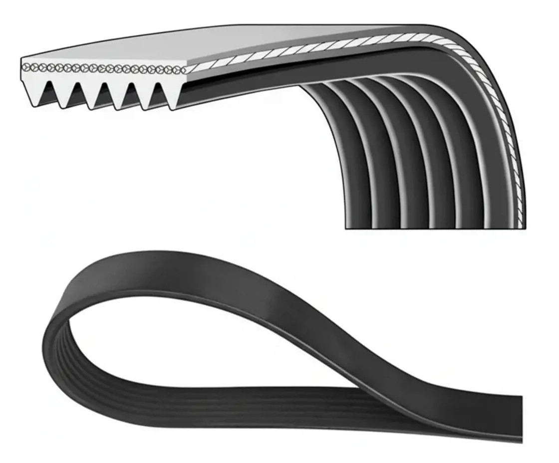 DAYCO 6PK1115 Cinghia Poly-V - Immagine 2