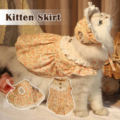 slim fit dress slacks Belle Cat Dress main image 1
