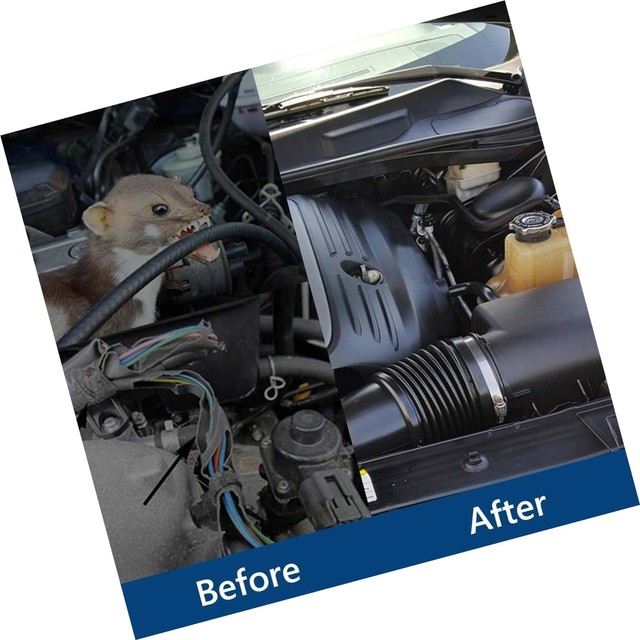 Angveirt 2 Pack Under Hood Animal Repeller Mice Rodent Repellent for How To Keep Mice From Under Hood Of Car Angveirt 2 Pack Under Hood Animal Repeller Mice Rodent Repellent for - How To Keep Mice From Under Hood Of Car