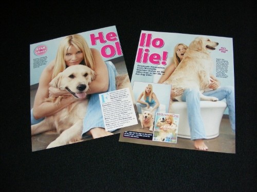 NICOLLETTE SHERIDAN magazine clippings - Picture 11 of 18