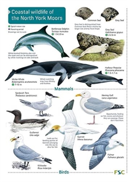 Coastal wildlife of the North York Moors by Field Studies Council NEW - Image 4