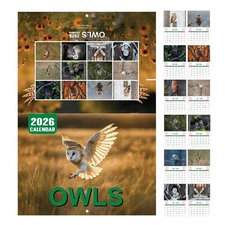 Owl Calendar 2026 Monthly Wall Calender 12 Month