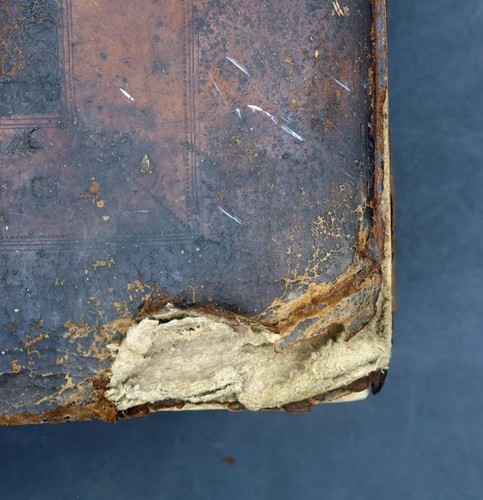 1698 A Monumental Work in Biblical Scholarship GENESIS & EXODUS Bible CATHOLIC - Picture 7 of 7