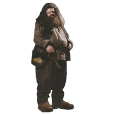 Paper House Productions Rubeus Hagrid Harry Potter Die Cut Blank Note Card