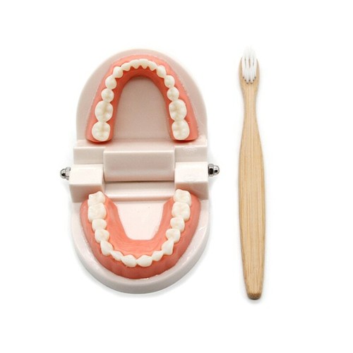 Montessori Educational Toys For Children Early Learning Kids Intelligence Brush - Picture 6 of 12