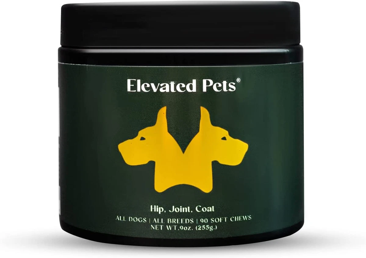 How To Give Dogs Omega 3