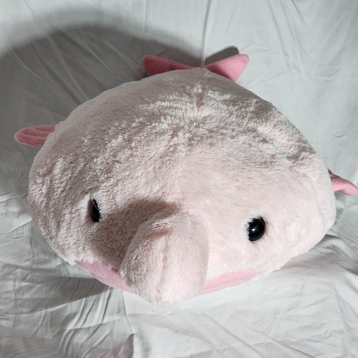 Hashtag collectibles blobfish sale