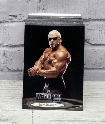 ウォリアー、フレアー、マッチョ、マイケルズ、ベイダー、オーエン、ブレット、ラモン 2003 Fleer WWE WrestleMania XIX Wrestling 90-Card Set | eBay