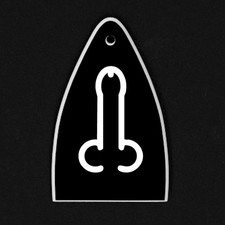 GUITAR TRUSS ROD COVER Engraved Etch - Fit Paul Reed Smith PRS USA - DONG Black