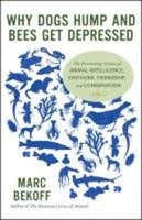Why Dogs Hump And Bees Get Depressed, Marc Bekoff