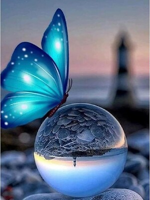NEW Huacan DIY Diamond Painting Kit Butterfly on Glass Sphere 11.8x15.7inch