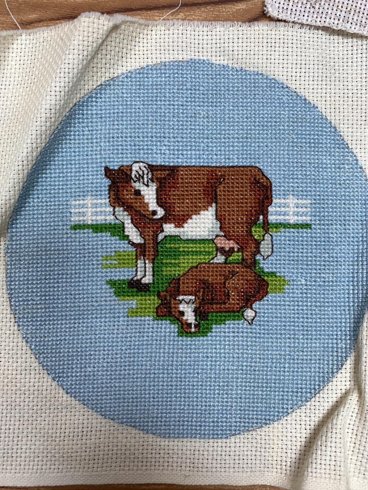 Picture 6 of 7