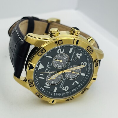 Citizen Eco-Drive Men's Perpetual Calendar Chronograph Gold Watch