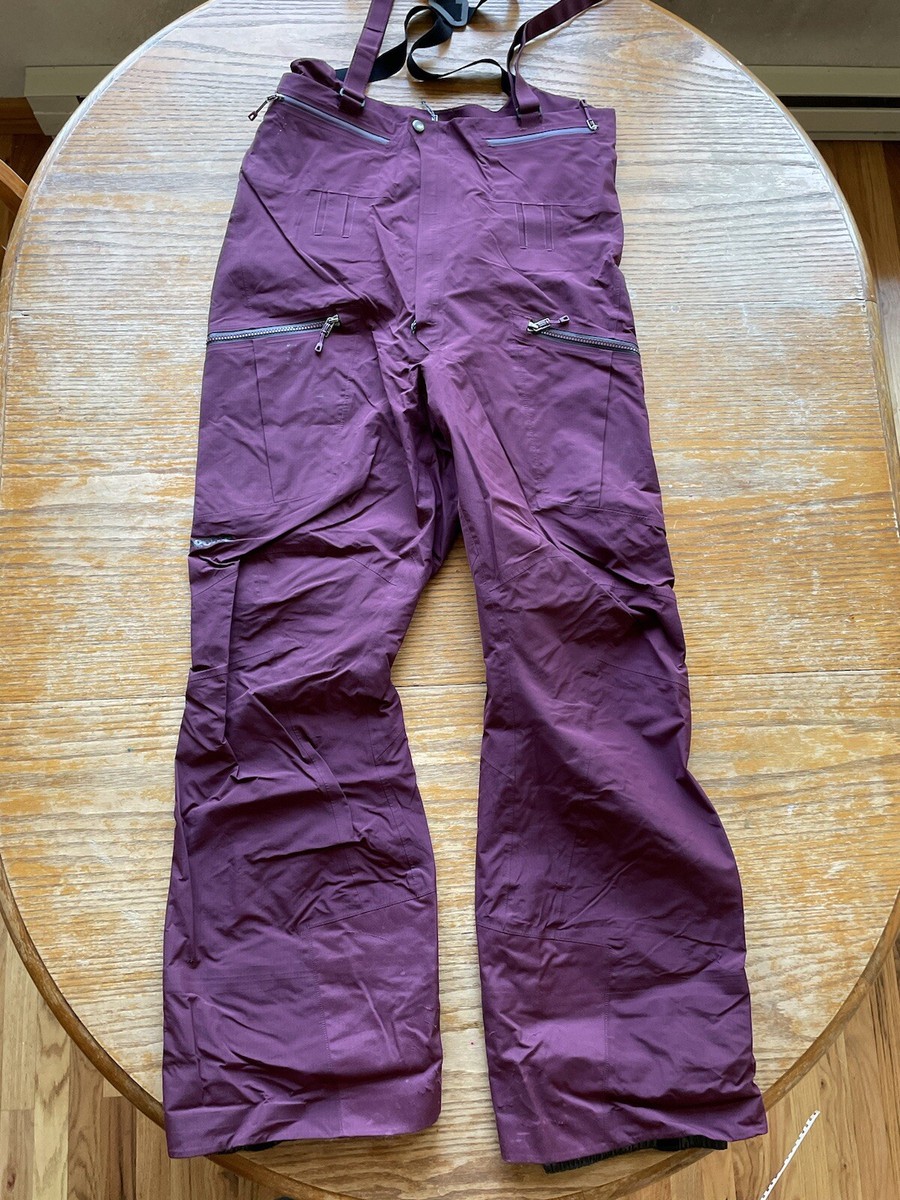 Patagonia Men's Goretex Proshell Powslayer Bibs Snowboard